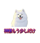 犬味 歪んだ愛（個別スタンプ：23）