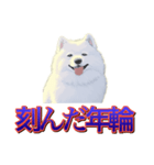 犬味 歪んだ愛（個別スタンプ：25）