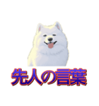 犬味 歪んだ愛（個別スタンプ：27）