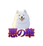 犬味 歪んだ愛（個別スタンプ：28）