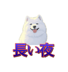 犬味 歪んだ愛（個別スタンプ：29）