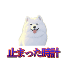 犬味 歪んだ愛（個別スタンプ：30）