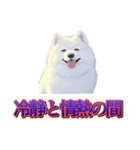 犬味 歪んだ愛（個別スタンプ：31）