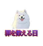 犬味 歪んだ愛（個別スタンプ：33）