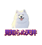 犬味 歪んだ愛（個別スタンプ：34）