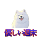 犬味 歪んだ愛（個別スタンプ：37）