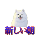 犬味 歪んだ愛（個別スタンプ：38）