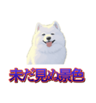 犬味 歪んだ愛（個別スタンプ：39）