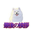 犬味 歪んだ愛（個別スタンプ：40）