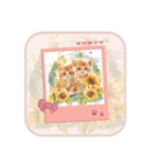 夢幻フラワー子猫（個別スタンプ：23）