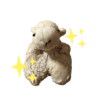 羊のメイメイちゃん（個別スタンプ：9）