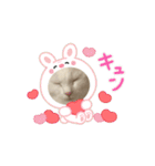 トムとシュガー（個別スタンプ：8）