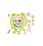 トムとシュガー（個別スタンプ：13）