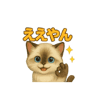猫いろいろ日常会話23（個別スタンプ：2）