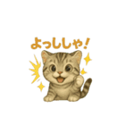 猫いろいろ日常会話23（個別スタンプ：3）