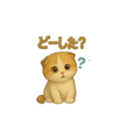猫いろいろ日常会話23（個別スタンプ：7）