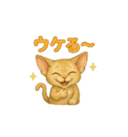 猫いろいろ日常会話23（個別スタンプ：9）