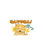 猫いろいろ日常会話23（個別スタンプ：13）