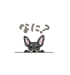 いぬの幼稚園 わんわんロック スタンプ4（個別スタンプ：1）