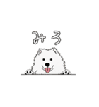 いぬの幼稚園 わんわんロック スタンプ4（個別スタンプ：5）