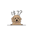 いぬの幼稚園 わんわんロック スタンプ4（個別スタンプ：12）