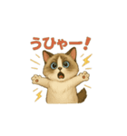 動くいろいろ種類猫日常会話（個別スタンプ：3）