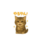 動くいろいろ種類猫日常会話（個別スタンプ：7）