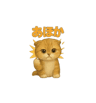 動くいろいろ種類猫日常会話（個別スタンプ：15）