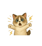 動く無言いろいろ種類猫（個別スタンプ：6）