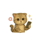 動く無言いろいろ種類猫（個別スタンプ：10）