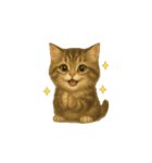 動く無言いろいろ種類猫（個別スタンプ：11）