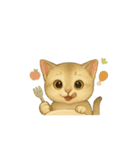 動く無言いろいろ種類猫（個別スタンプ：13）