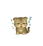 動く無言いろいろ種類猫（個別スタンプ：15）