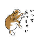 柴犬すースタンプ（個別スタンプ：5）