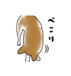 柴犬すースタンプ（個別スタンプ：15）