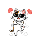 グラサン三毛猫のきもち（個別スタンプ：3）