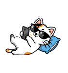 グラサン三毛猫のきもち（個別スタンプ：4）