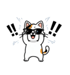 グラサン三毛猫のきもち（個別スタンプ：18）