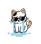 グラサン三毛猫のきもち（個別スタンプ：32）
