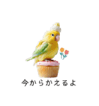 オウムカップケーキ♡（個別スタンプ：21）