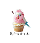 オウムカップケーキ♡（個別スタンプ：32）