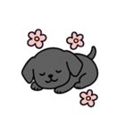 黒ラブバスちゃんの毎日スタンプ♡文字なし（個別スタンプ：8）