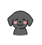 黒ラブバスちゃんの毎日スタンプ♡文字なし（個別スタンプ：12）