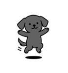 黒ラブバスちゃんの毎日スタンプ♡文字なし（個別スタンプ：17）