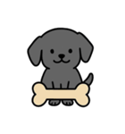 黒ラブバスちゃんの毎日スタンプ♡文字なし（個別スタンプ：24）