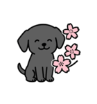 黒ラブバスちゃんの毎日スタンプ♡文字なし（個別スタンプ：33）