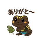 ミスジヤドクガエルとの日々～日常会話編～（個別スタンプ：6）