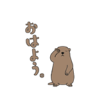 やる気のないマーモット1【日常編】（個別スタンプ：3）