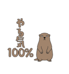 やる気のないマーモット1【日常編】（個別スタンプ：4）