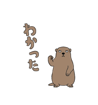 やる気のないマーモット1【日常編】（個別スタンプ：9）